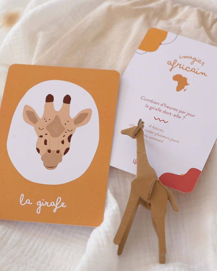 Imagier de l'Afrique - 20 cartes illustrées en pochon coton bio | Papier Curieux jeu Papier Curieux