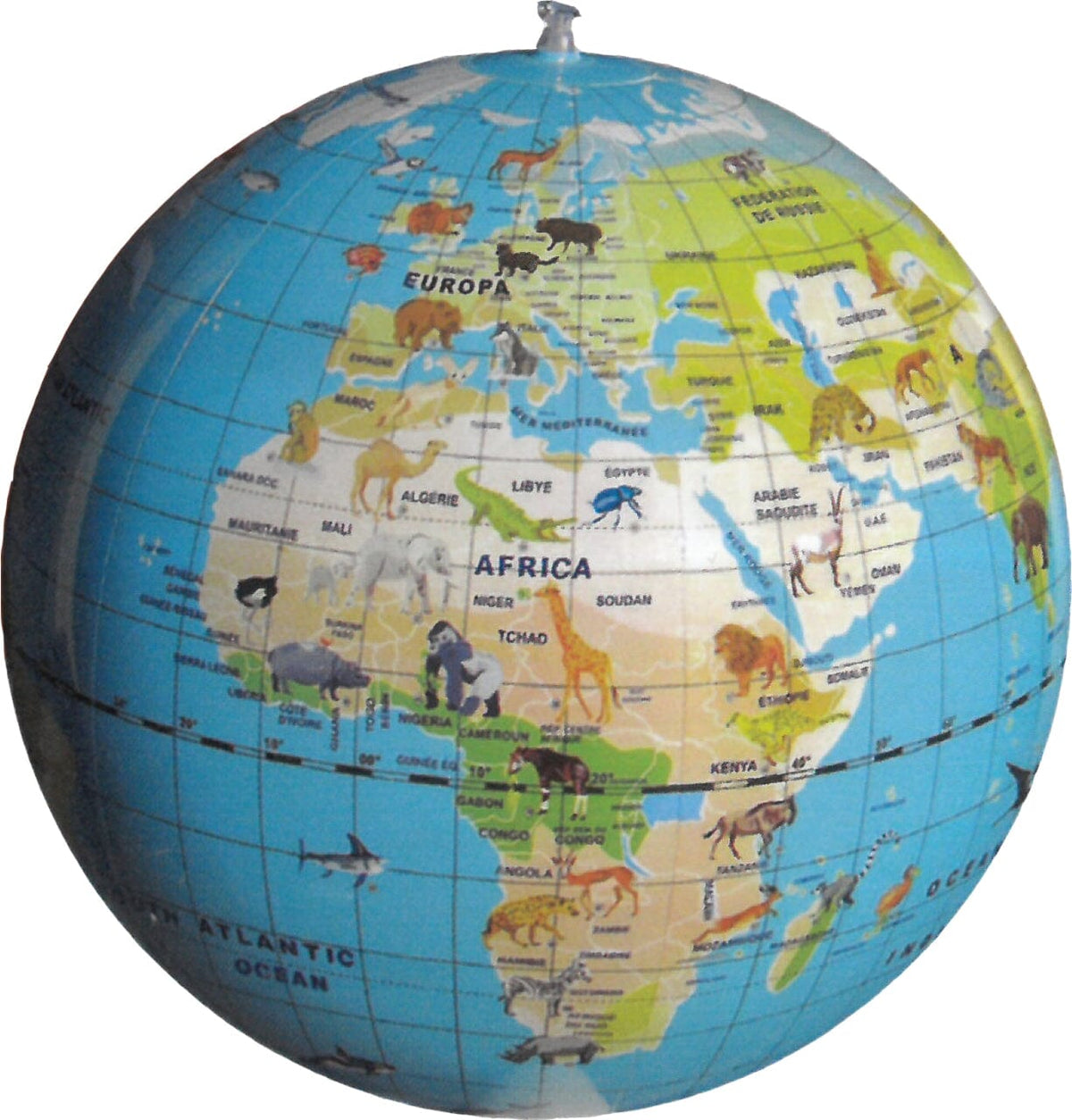 Jeu Stick N Quiz avec globe gonflable de 42 cm (en anglais) - Animal quest (6 ans et +) | Calytoys globe Calytoys 