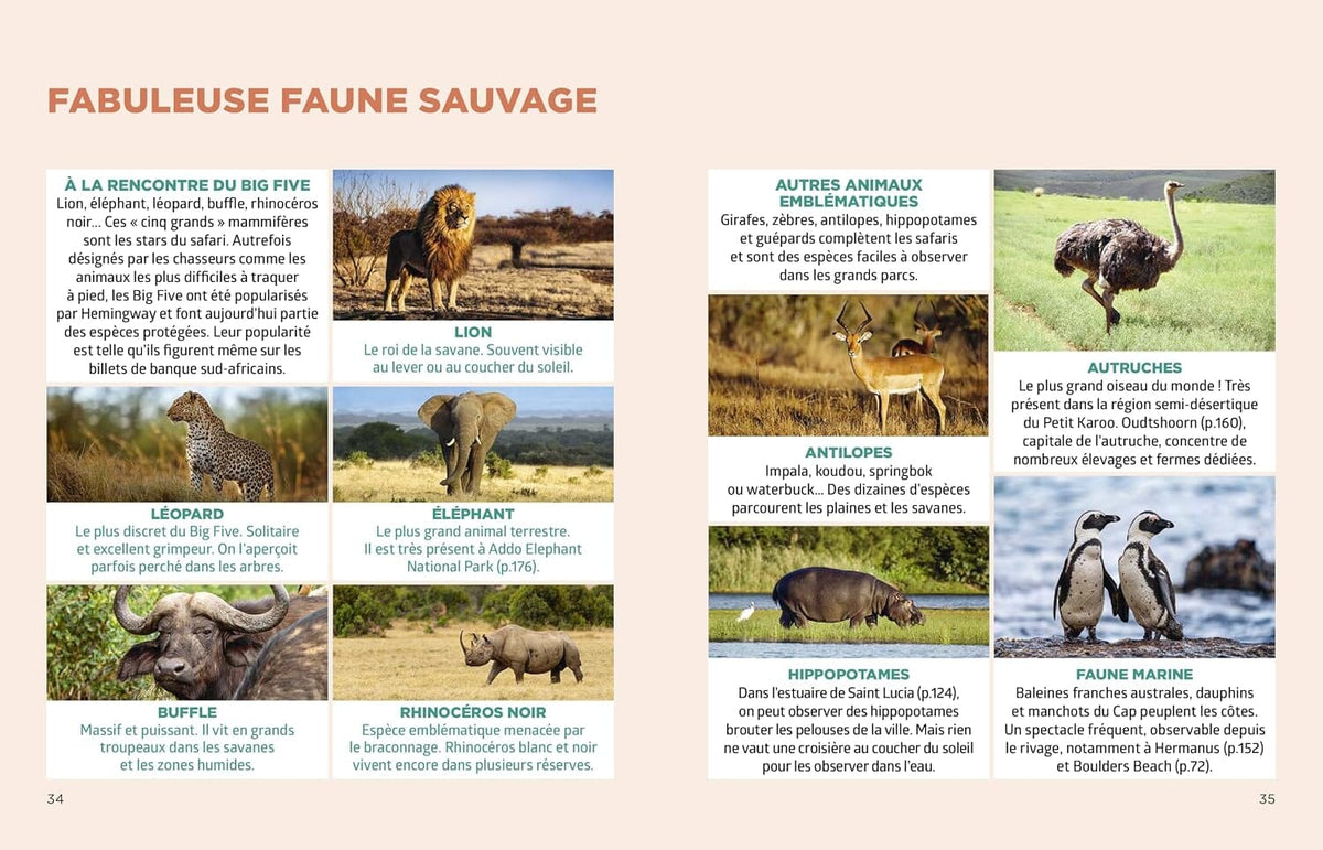 Le guide Simplissime - Afrique du Sud 2026 | Hachette guide de voyage Hachette 