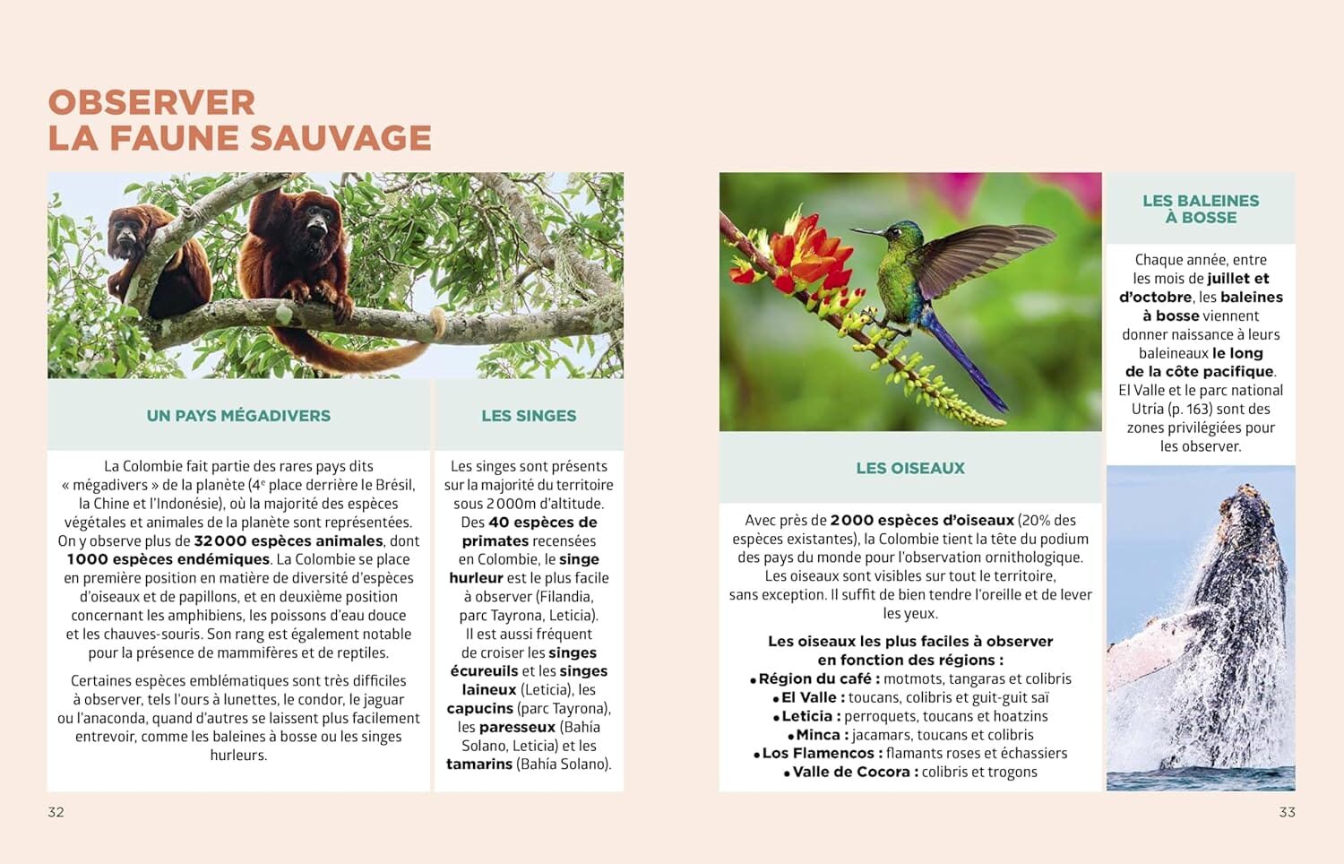 Le guide Simplissime - Colombie 2026 | Hachette guide de voyage Hachette 