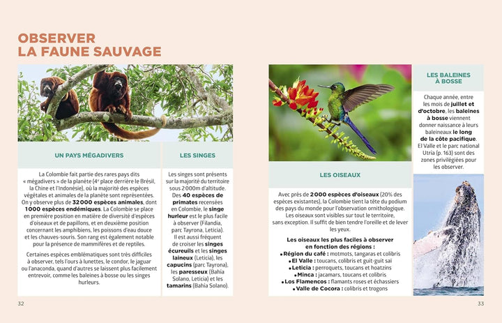 Le guide Simplissime - Colombie 2026 | Hachette guide de voyage Hachette 