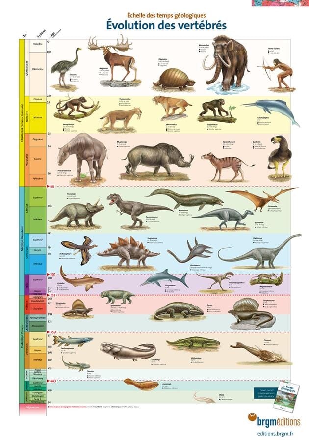 Lot de posters - Temps géologiques - 70 x 100 cm | BRGM carte murale petit tube BRGM 