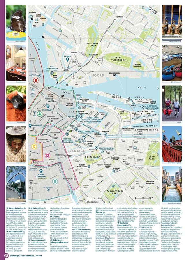 Guide de voyage de poche- Amsterdam 2025/26 | Cartoville guide de voyage Gallimard