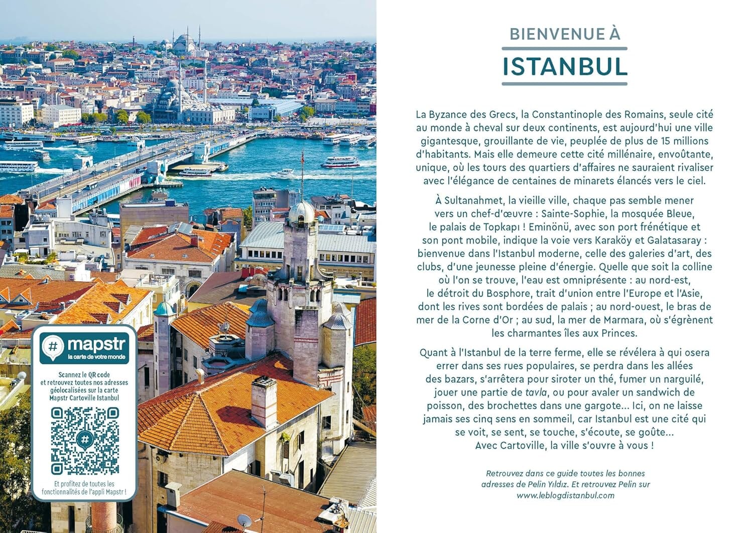 Guide de voyage de poche - Istanbul | Cartoville guide de voyage Gallimard