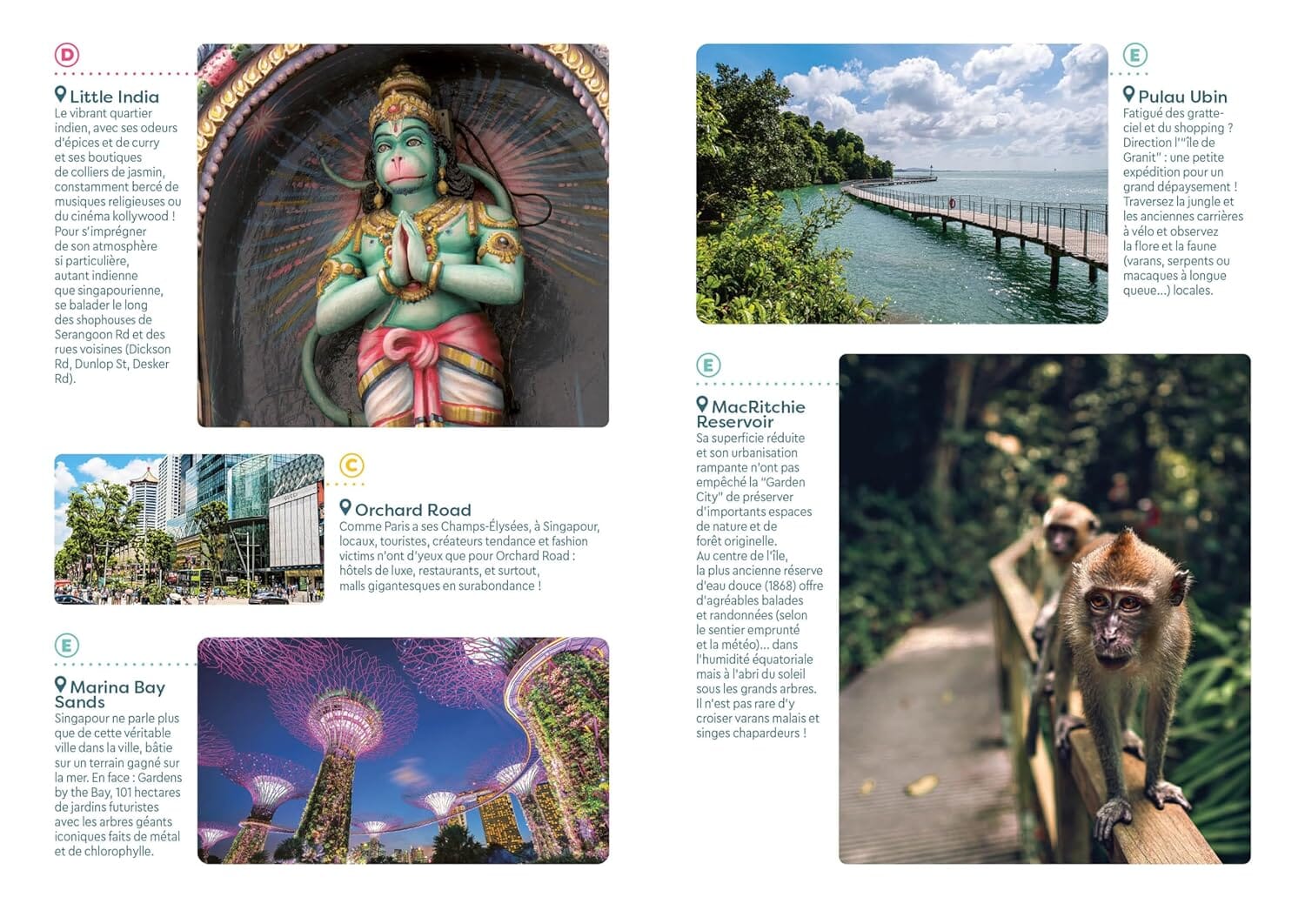 Guide de voyage de poche - Singapour | Cartoville guide de voyage Gallimard
