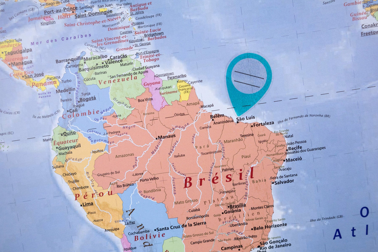 Planisphère plastifié en français - 100 x 70 cm, avec baguettes de maintien en bois | GeoMetro carte murale roulée (en tube) GeoMetro