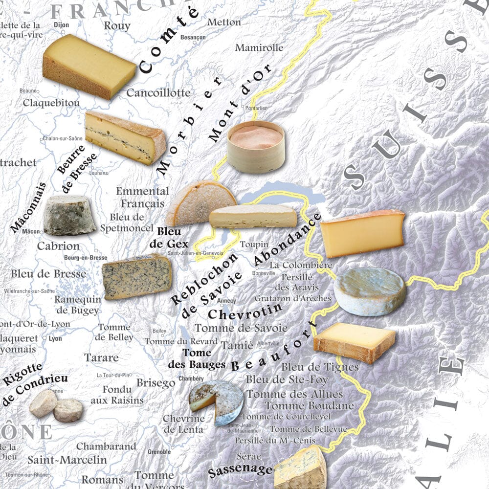 Poster – Carte des fromages AOC de France - 80 x 80 cm | Blay Foldex carte murale roulée (en tube) Blay Foldex