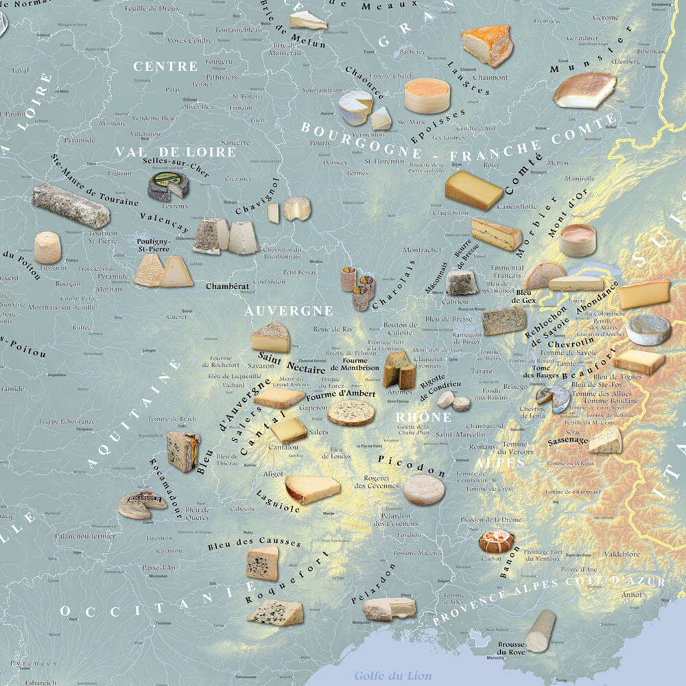 La France des fromages AOC : 洋書　フランス La France des fromages AOC : 洋書 フランス-直営 店 通販