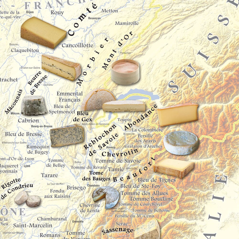 Poster – Carte des fromages AOC de France - 80 x 80 cm | Blay Foldex carte murale roulée (en tube) Blay Foldex