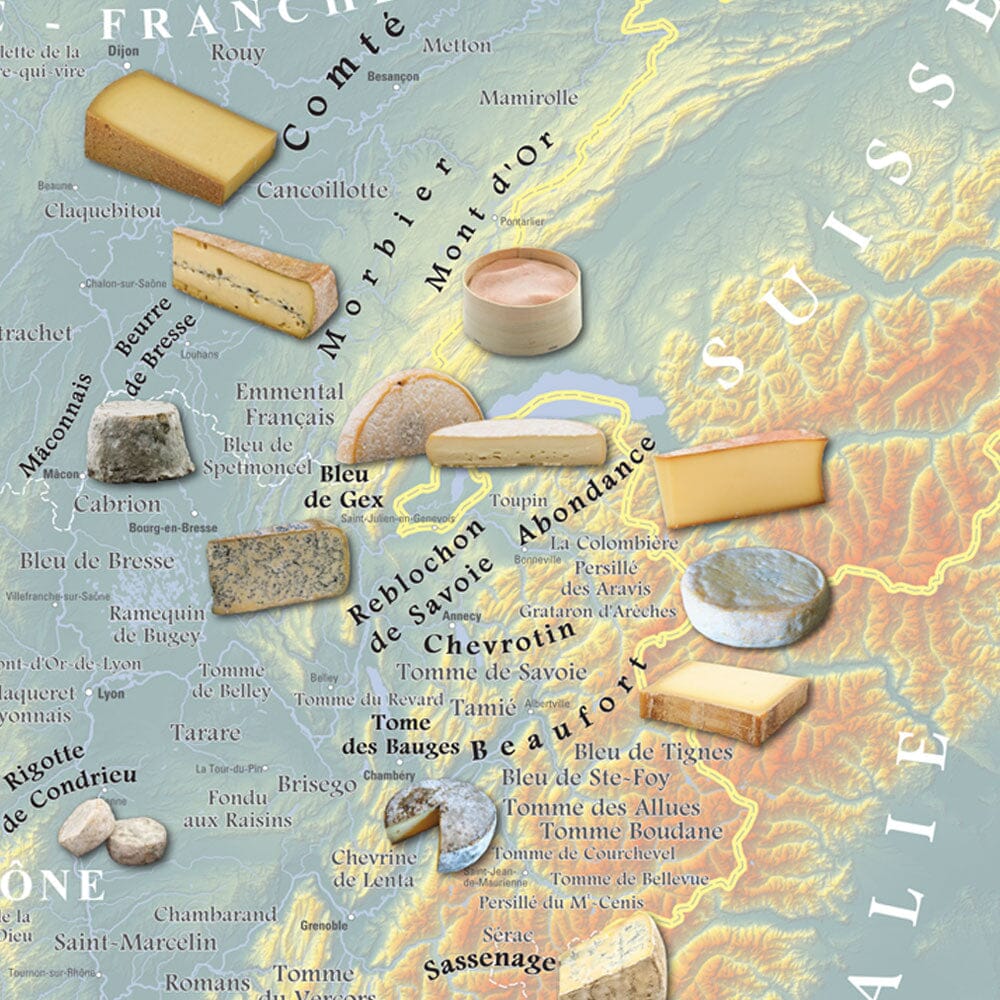 Poster – Carte des fromages AOC de France (80 x 80 cm) | Blay Foldex carte murale roulée (en tube) Blay Foldex