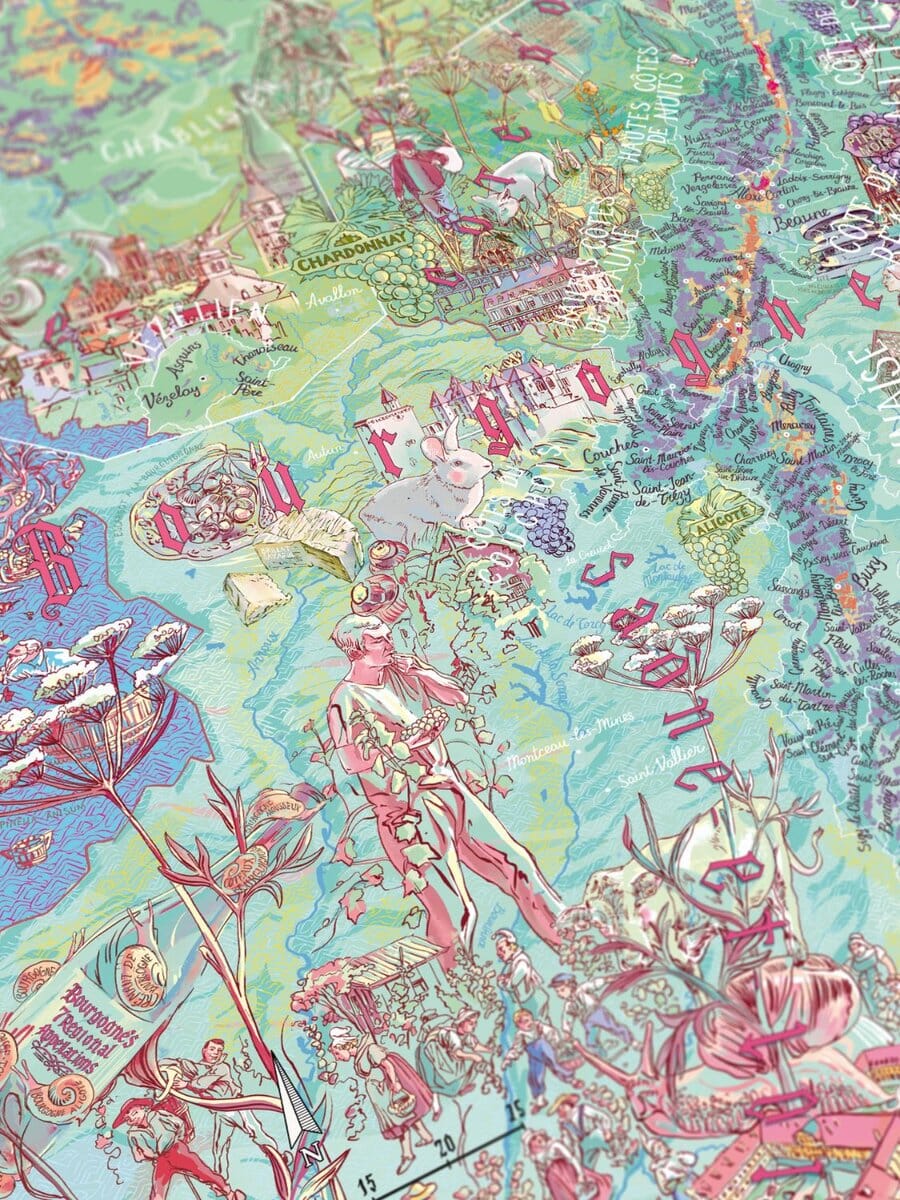 Puzzle de 1000 pièces - Les vins de Bourgogne (48 x 68 cm) puzzle Water & Wines 