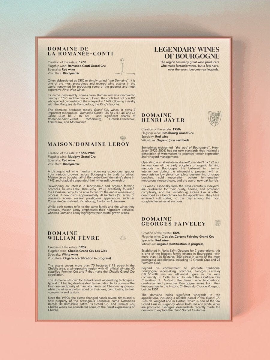 Puzzle de 1000 pièces - Les vins de Bourgogne (48 x 68 cm) puzzle Water & Wines 