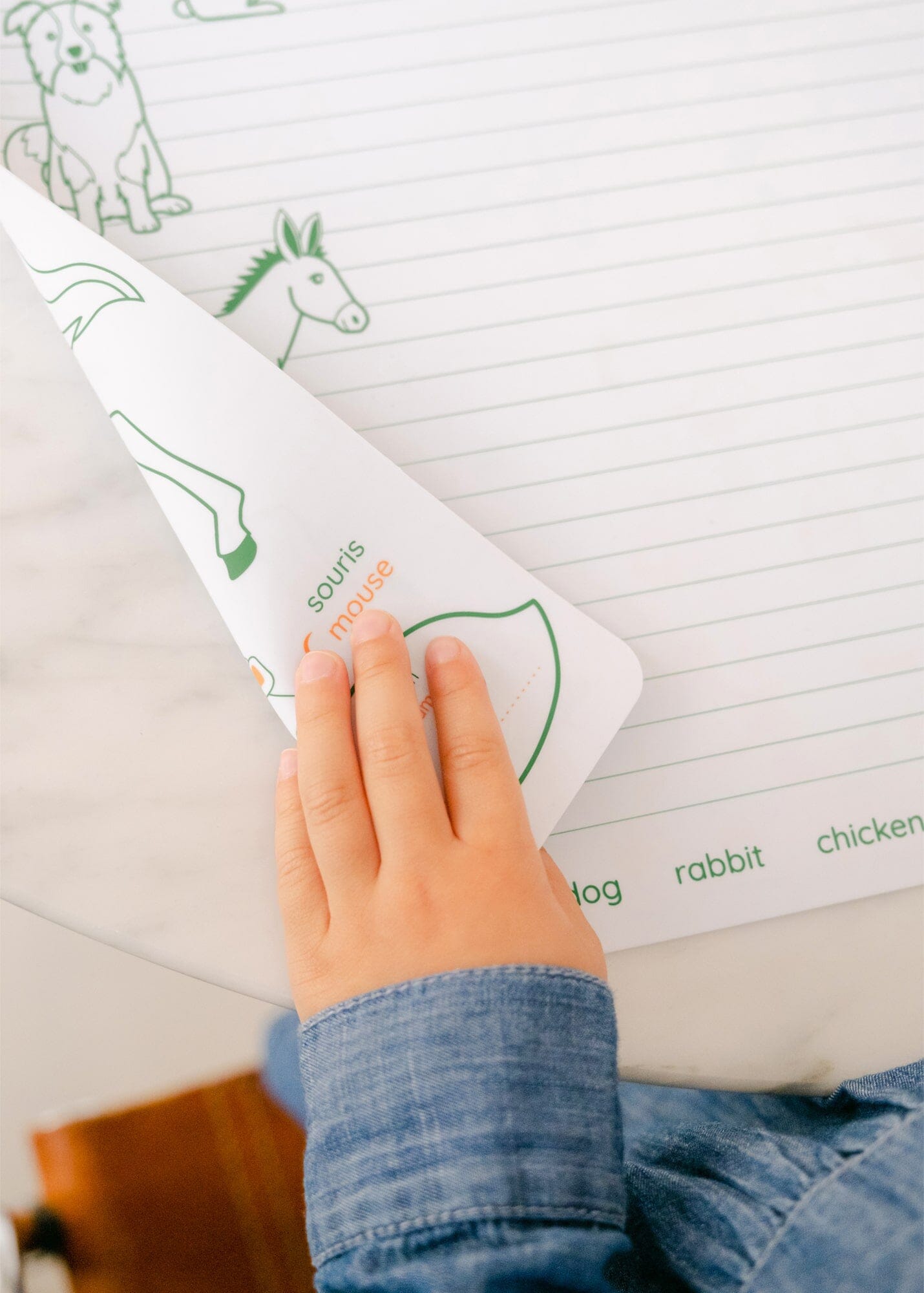 Set de coloriage en silicone réutilisable et réversible - Les animaux de la ferme (3 ans et +) | SuperPetit jeu SuperPetit