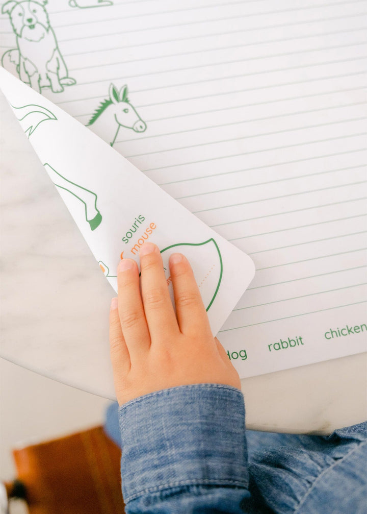 Set de coloriage en silicone réutilisable et réversible - Les animaux de la ferme (3 ans et +) | SuperPetit accessoire de voyage SuperPetit 