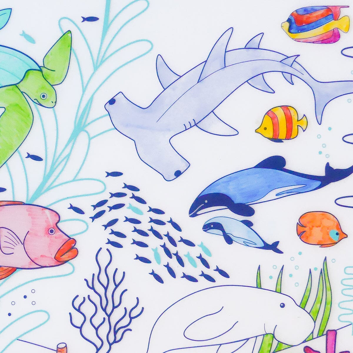 Set de coloriage réutilisable en silicone - Barrière de corail (3 ans et +) | SuperPetit jeu SuperPetit