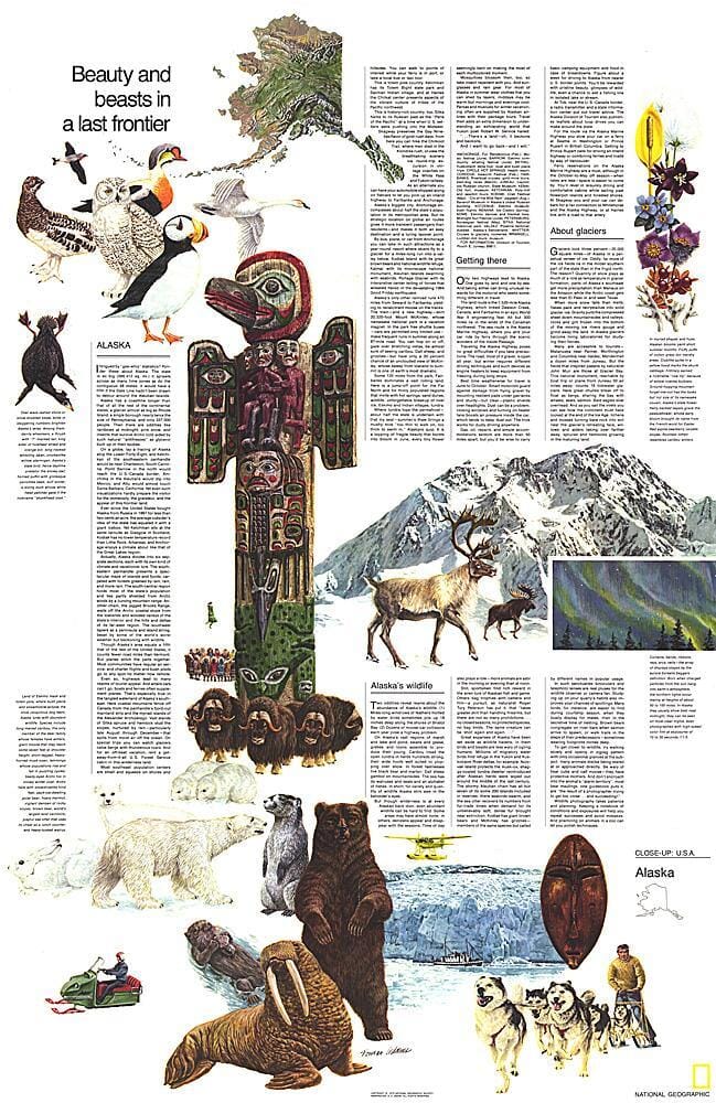 1975 Gros plan USA, Alaska Thème carte murale roulée (en tube) National Geographic Historic POD Default Title