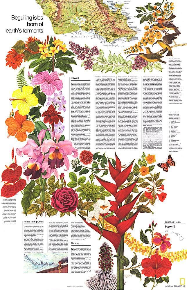 1976 Gros plan USA, thème Hawaii carte murale roulée (en tube) National Geographic Historic POD Default Title
