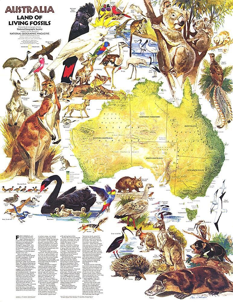 1979 Australie, terre de fossiles vivants (carte) carte murale roulée (en tube) National Geographic Historic POD Default Title