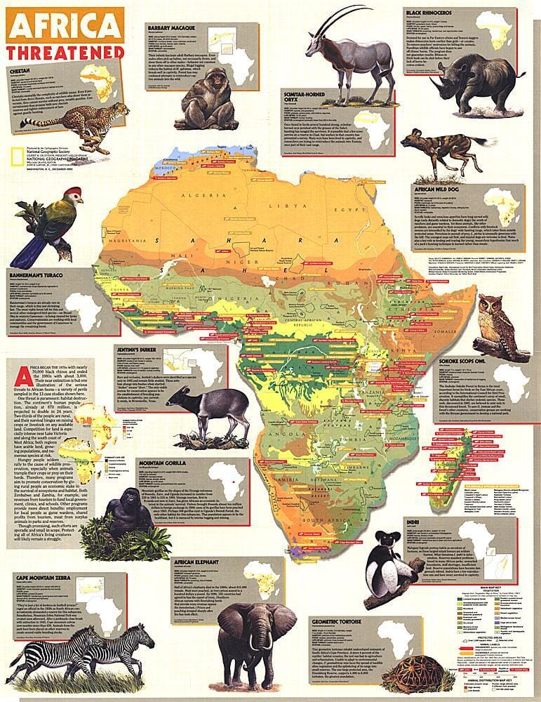 1990 Carte de l'Afrique menacée carte murale roulée (en tube) National Geographic Historic POD Default Title