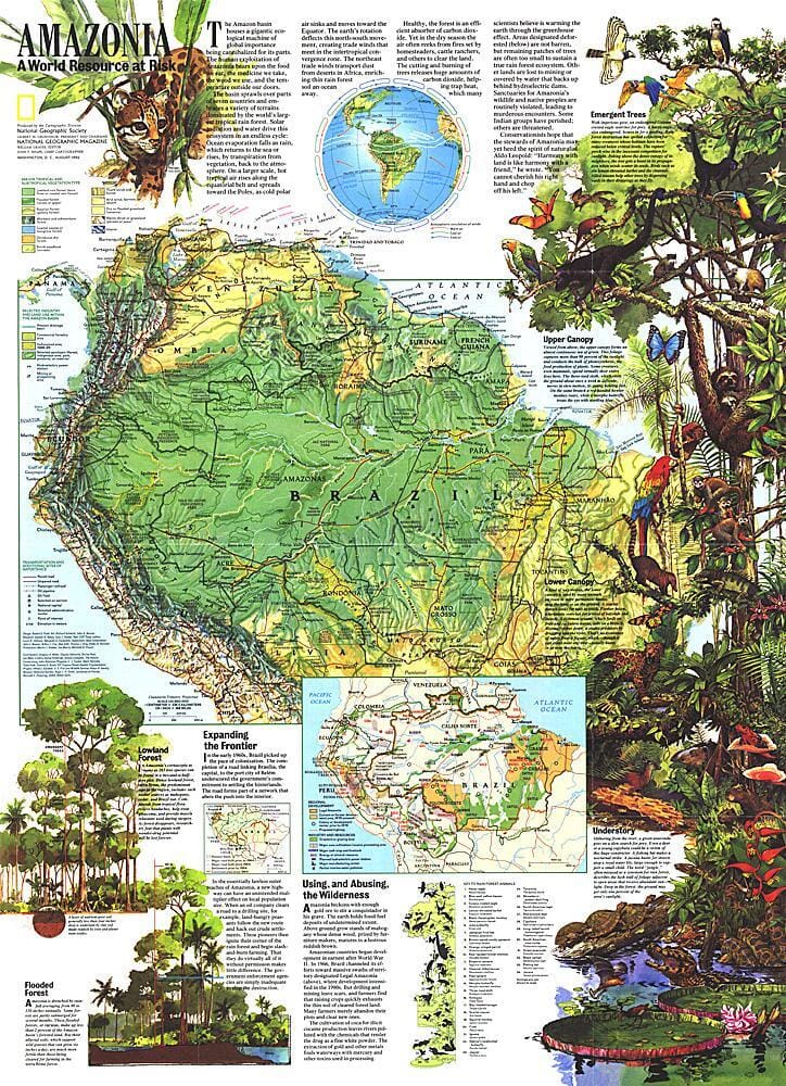 1992 Carte de l'Amazonie, une ressource mondiale en danger carte murale roulée (en tube) National Geographic Historic POD Default Title