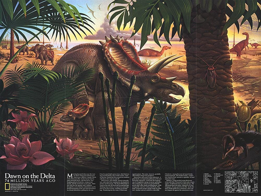 1993 Dawn on the Delta Wall Map 