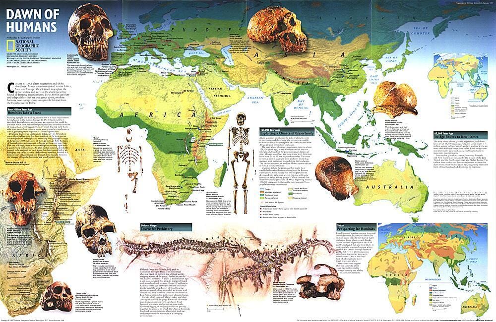 1997 Dawn of Humans (carte) carte murale roulée (en tube) National Geographic Historic POD Default Title