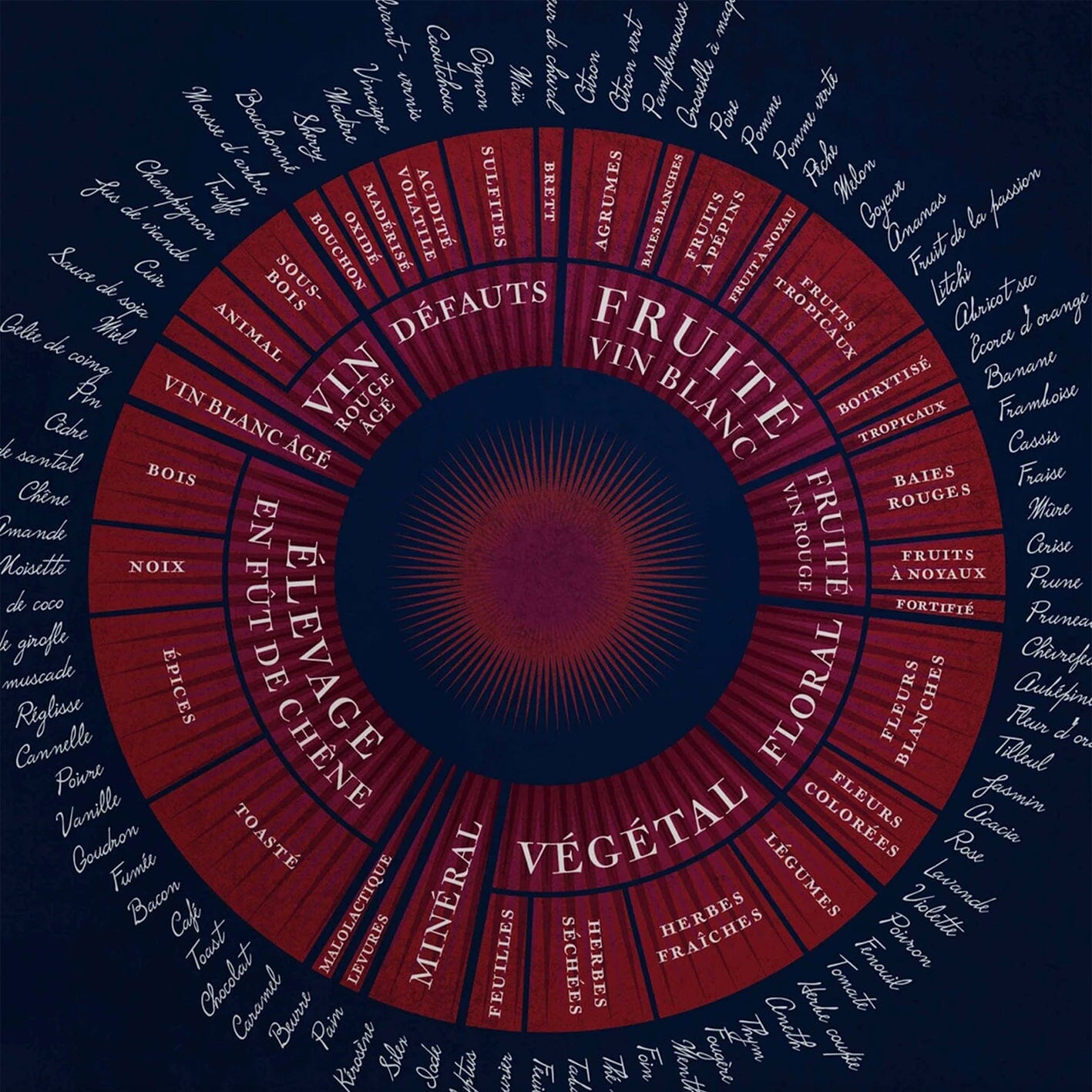 Affiche - Les arômes du vin - 50 x 70 cm carte murale roulée (en tube) La carte des vins