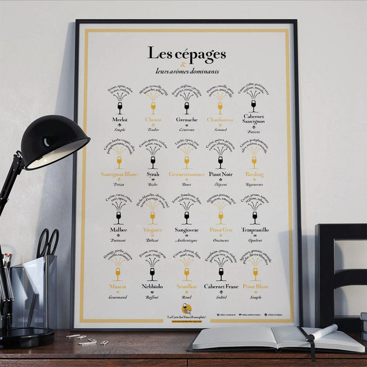 Affiche - Les cépages et leurs arômes dominants - 50 x 70 cm carte murale petit tube La carte des vins 