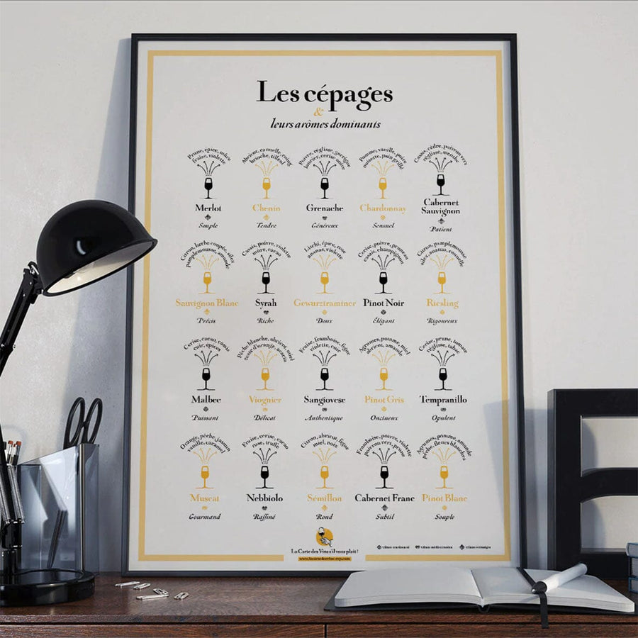 Affiche - Les cépages et leurs arômes dominants - 50 x 70 cm carte murale petit tube La carte des vins 