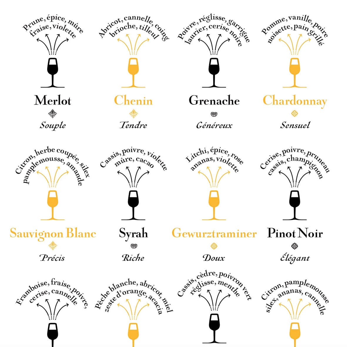 Affiche - Les cépages et leurs arômes dominants - 50 x 70 cm carte murale roulée (en tube) La carte des vins