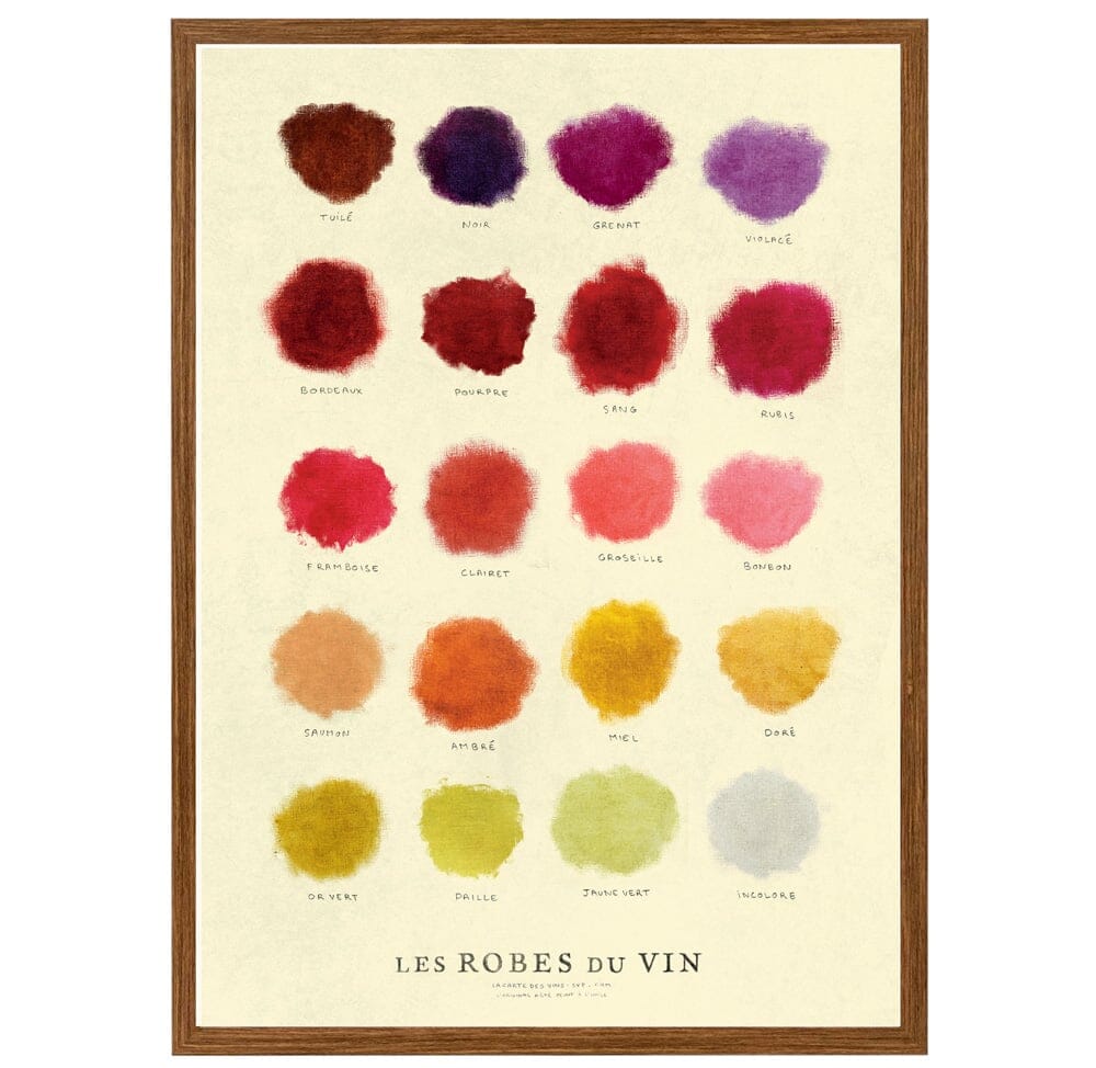 Affiche - Les robes du vin - 50 x 70 cm carte murale roulée (en tube) La carte des vins