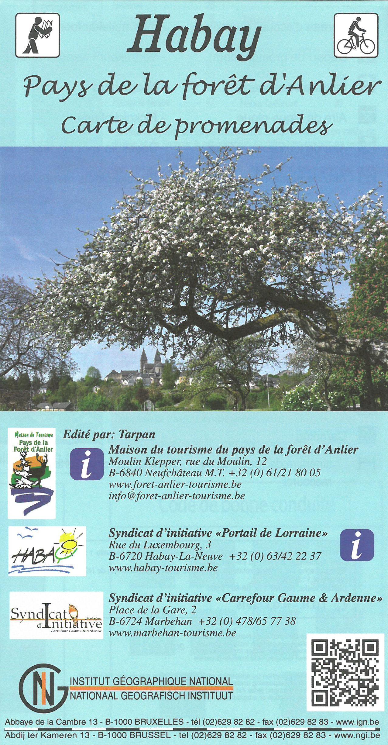 Carte de promenades - Habay (Belgique) | NGI carte de randonnée IGN Belgique Default Title