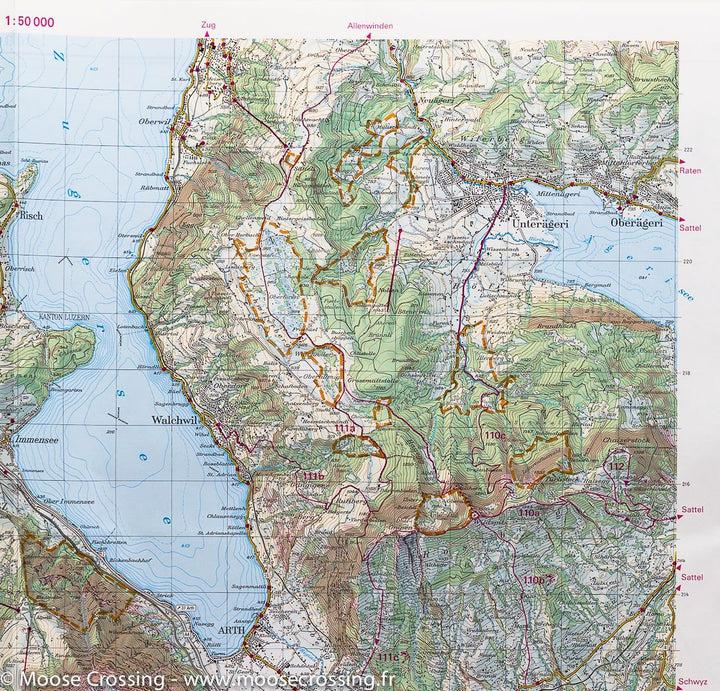 Carte de Lachen (Rigi, Ybrig, Glärnisch), Suisse | Swisstopo - La Compagnie des Cartes