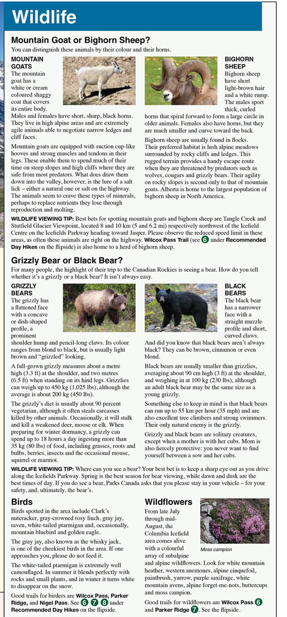 Carte de voyage - Columbia Icefield (PN Banff et Jasper, Alberta) | Gem Trek carte de randonnée Gem Trek Publishing