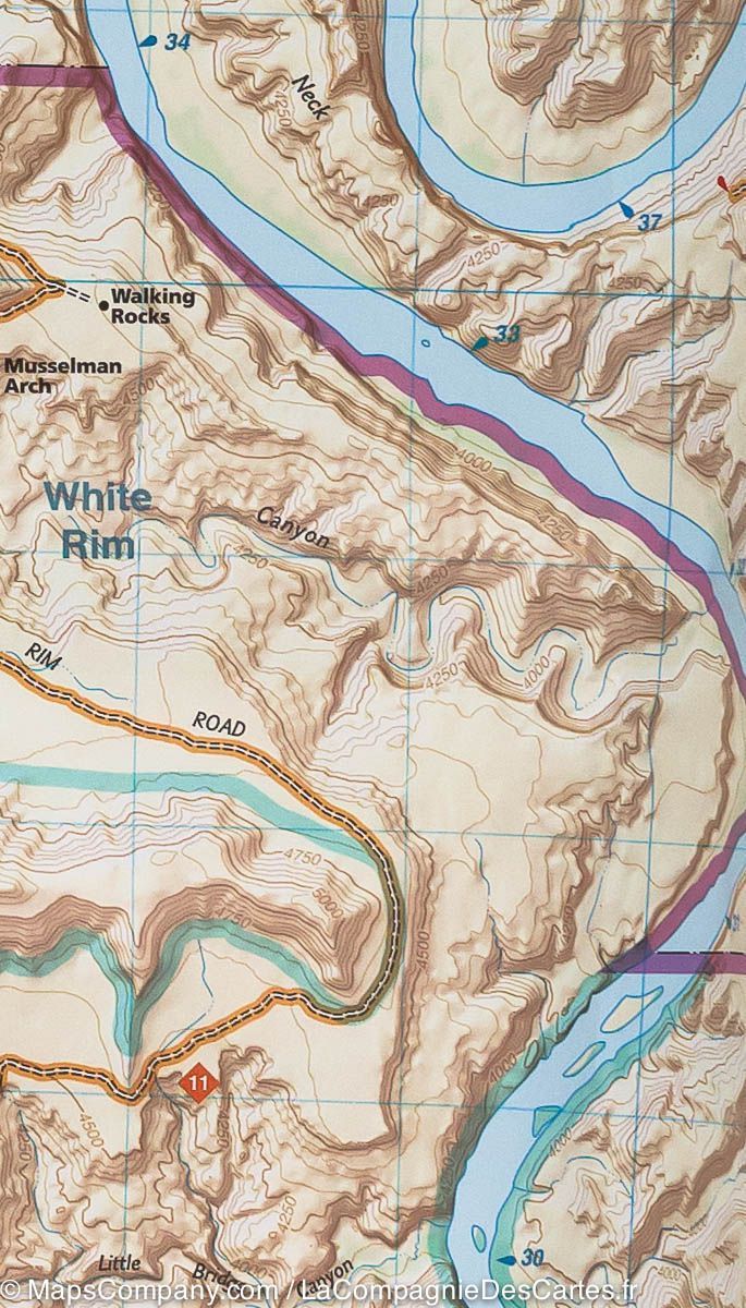 Carte de randonnée de Island in the sky District (Parc National de Canyonlands, Utah) | National Geographic carte pliée National Geographic 