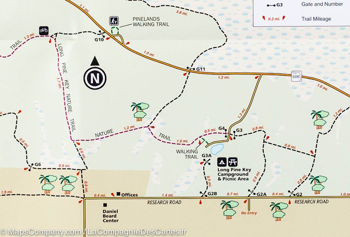 Carte de randonnée n° 243 - Parc National des Everglades (Floride) | National Geographic carte de randonnée National Geographic