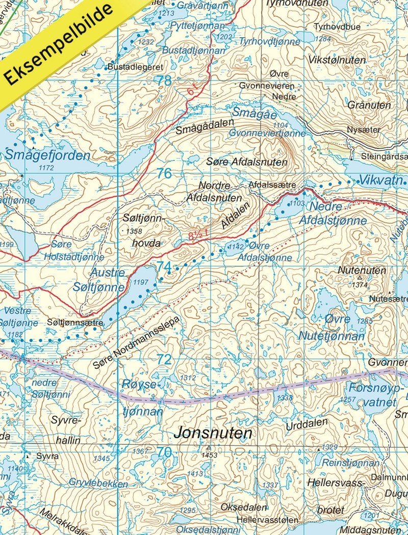 Carte de randonnée n° 2556 - Hardangervidda Est (Norvège) | Nordeca - Turkart 1/100 000 carte de randonnée Nordeca