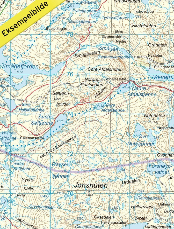 Carte de randonnée n° 2556 - Hardangervidda Est (Norvège) | Nordeca - Turkart 1/100 000 carte pliée Nordeca 