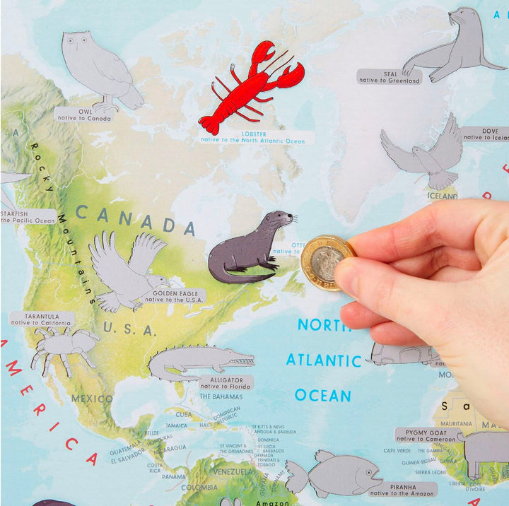 Carte murale à gratter (en anglais) - Animaux du monde (pour enfants) | Maps International carte murale petit tube Maps International 