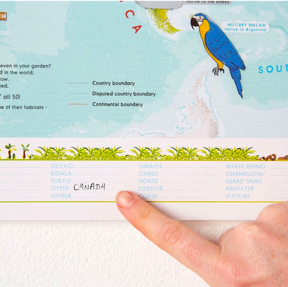 Carte murale à gratter (en anglais) - Animaux du monde (pour enfants) | Maps International carte murale petit tube Maps International 