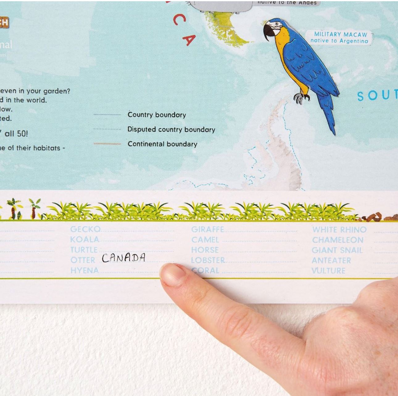 Carte murale à gratter (en anglais) - Animaux du monde (pour enfants) - 60 x 42 cm | Maps International carte murale roulée (en tube) Maps International