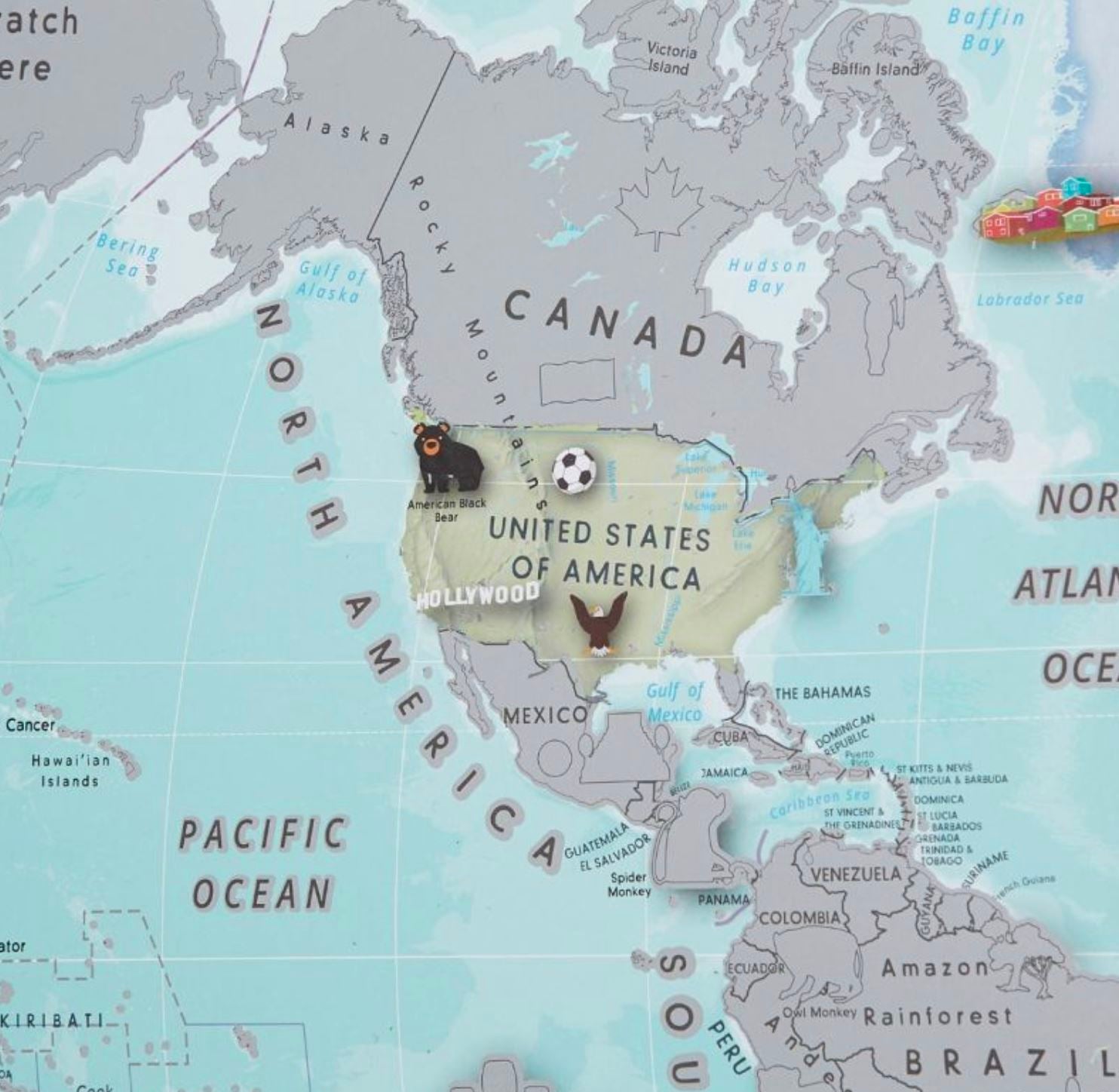 Carte murale à gratter (en anglais) - Monde, pour enfants - 85 x 60 cm | Maps International carte murale roulée (en tube) Maps International