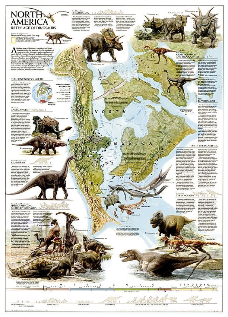 Carte murale des Dinosaures d'Amérique du Nord, en tube | National Geographic carte murale roulée (en tube) National Geographic