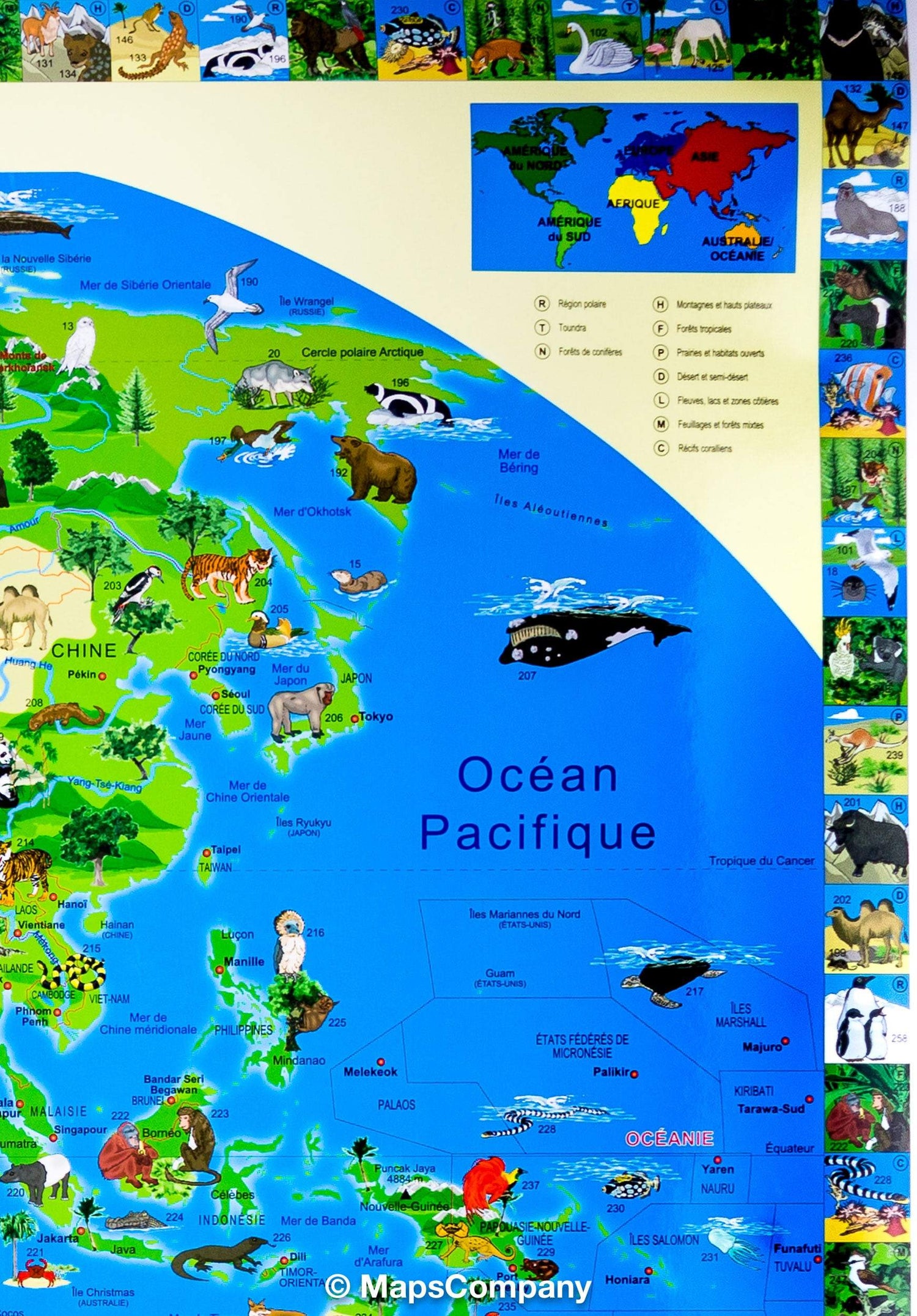 Carte murale illustrée pour enfants (plastifiée) - Le Monde des animaux - 100 x 70 cm | Krüger & Schönhoff carte murale roulée (en tube) Krüger & Schönhoff