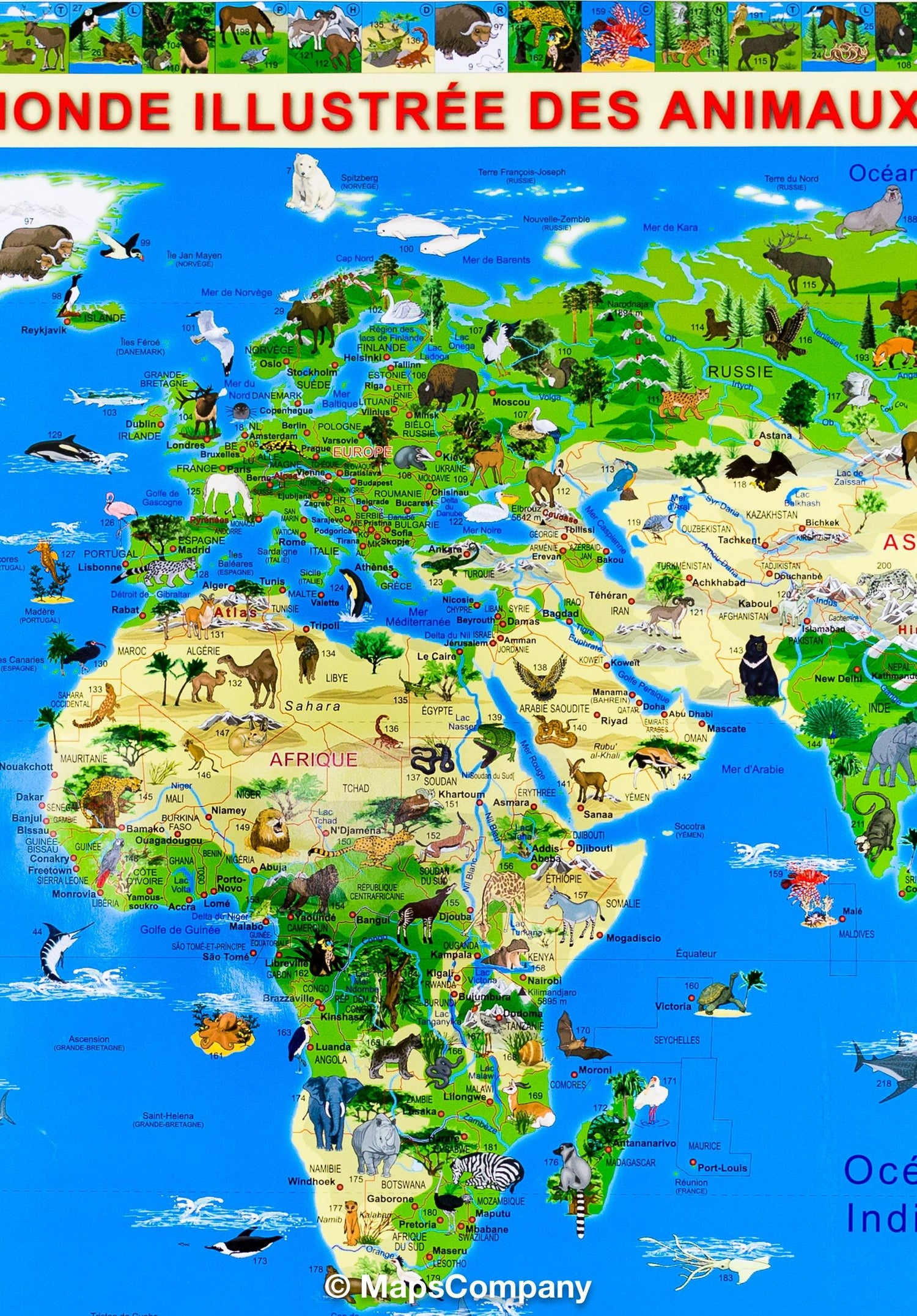 Carte murale illustrée pour enfants (plastifiée) - Le Monde des animaux - 100 x 70 cm | Krüger & Schönhoff carte murale roulée (en tube) Krüger & Schönhoff