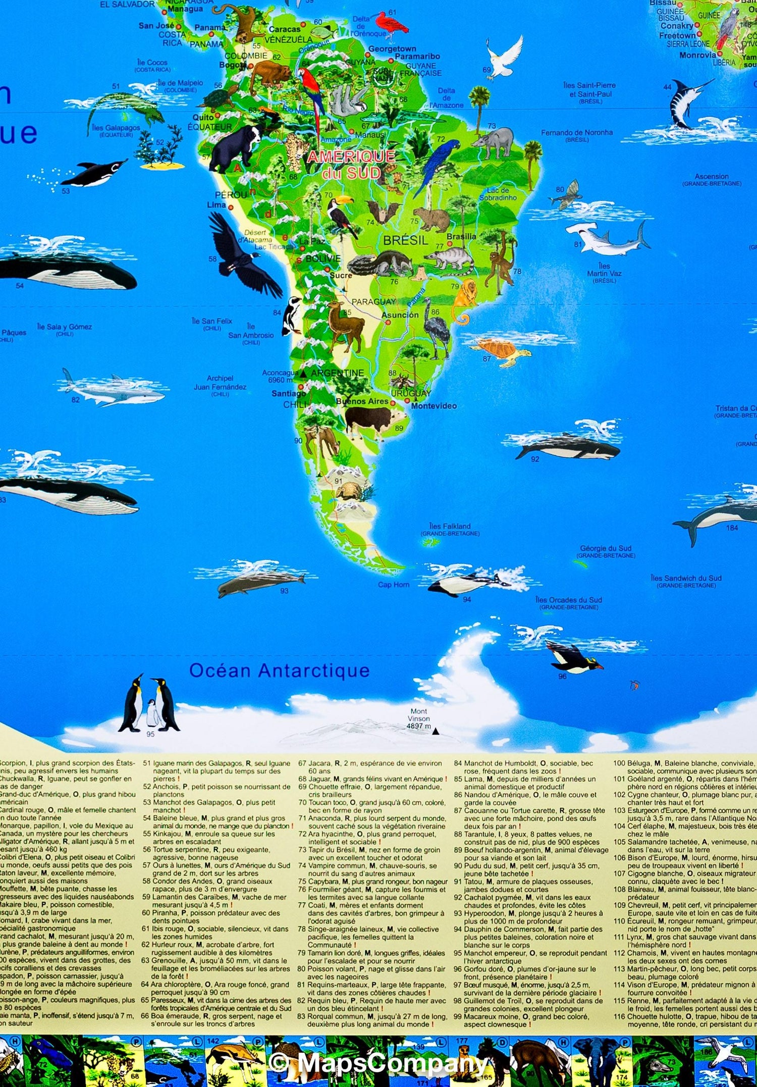 Carte murale illustrée pour enfants (plastifiée) - Le Monde des animaux - 100 x 70 cm | Krüger & Schönhoff carte murale roulée (en tube) Krüger & Schönhoff