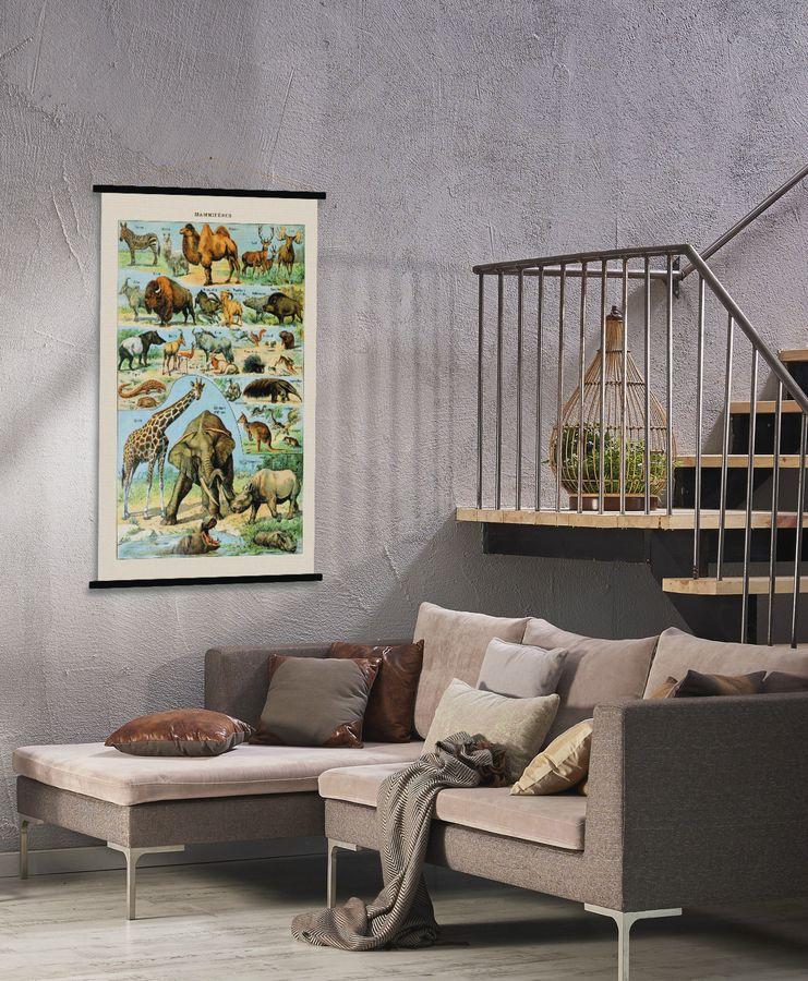 Carte murale - Mammifères (style vintage) - 84 x 123 cm | Blue Shaker carte murale roulée (en tube) Blue Shaker