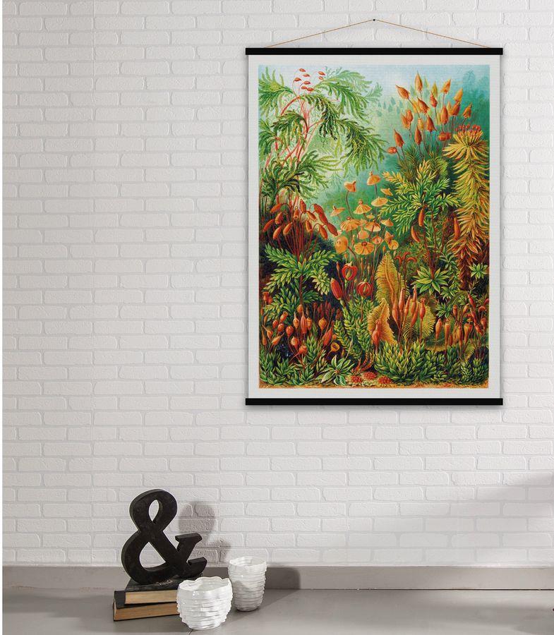 Carte murale - Muscinae, mousses (style vintage) - 84 x 113 cm | Blue Shaker carte murale roulée (en tube) Blue Shaker