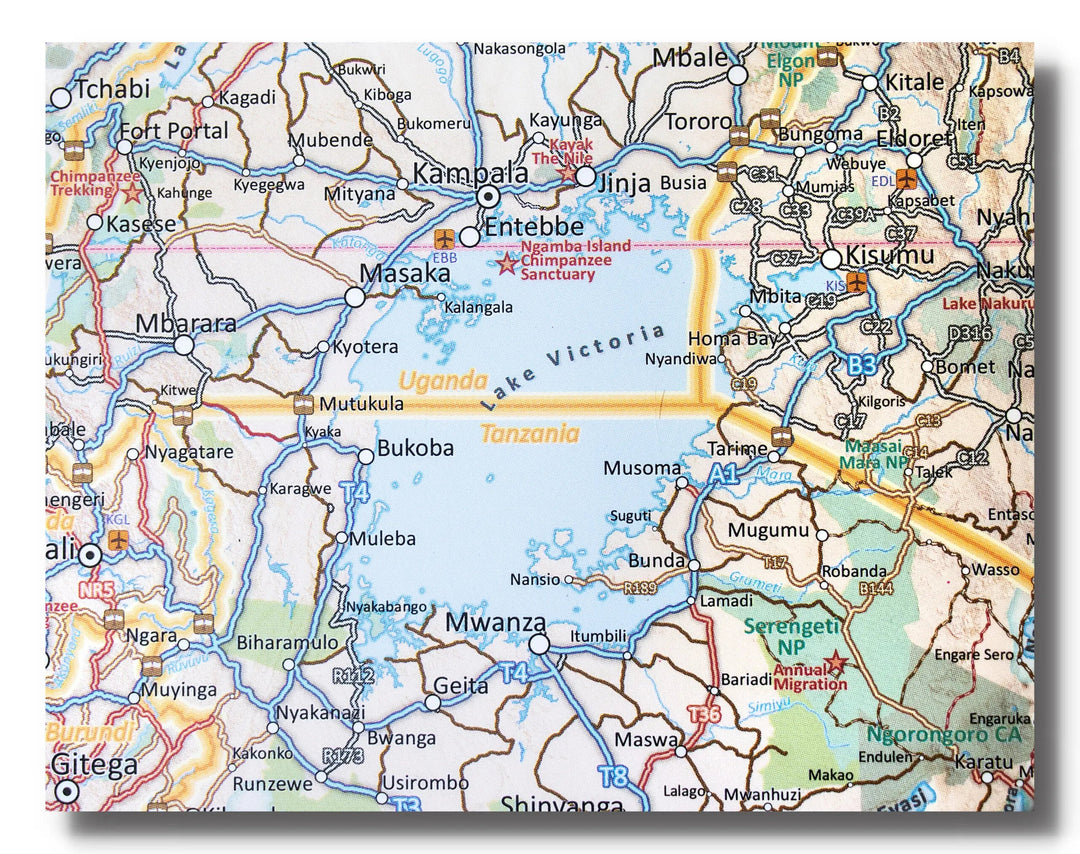 Carte murale plastifiée - Afrique, partie Sud - 130 x 98 cm | Tracks4Africa carte murale petit tube Tracks4Africa 