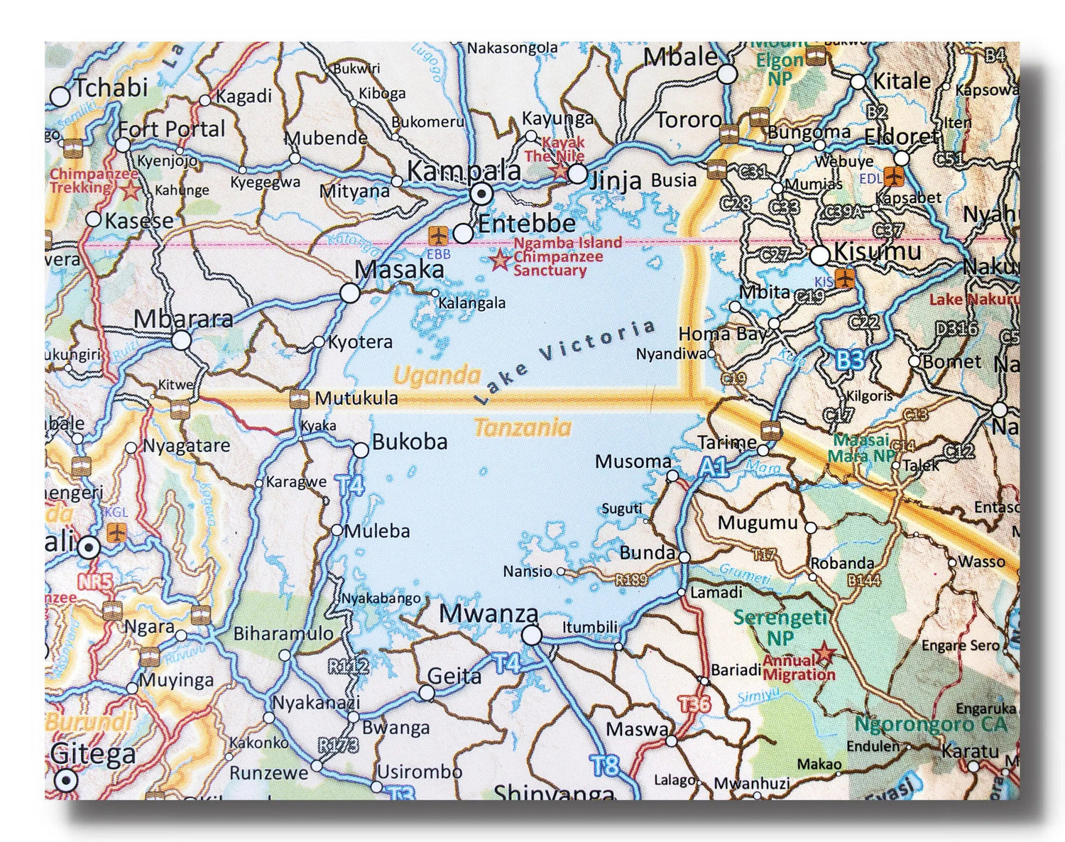 Carte murale plastifiée - Afrique, partie Sud - 130 x 98 cm | Tracks4Africa carte murale roulée (en tube) Tracks4Africa